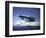 Us Navy Pby Catalina Bomber in Flight-null-Framed Photographic Print