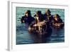 US Navy SEAL Team Emerges from Water During Warfare Training, Dec. 1, 1986-null-Framed Photo