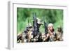 US Navy SEALs in Warfare Training, Aug. 1, 1987-null-Framed Photo