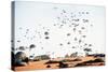 US Paratroopers Land at Palmerola Air Base in Honduras During Exercises, Jan. 1988-null-Stretched Canvas