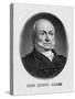 US President John Quincy Adams-null-Stretched Canvas