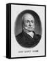 US President John Quincy Adams-null-Framed Stretched Canvas
