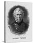US President Zachary Taylor-null-Stretched Canvas