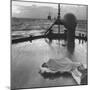 US Sailors Sleeping on Deck of Ship-Frank Scherschel-Mounted Photographic Print