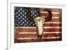 US Skull Flag-Jace Grey-Framed Art Print