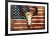 US Skull Flag-Jace Grey-Framed Art Print