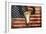 US Skull Flag-Jace Grey-Framed Premium Giclee Print