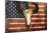 US Skull Flag-Jace Grey-Mounted Premium Giclee Print