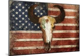 US Skull Flag-Jace Grey-Mounted Premium Giclee Print