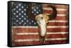 US Skull Flag-Jace Grey-Framed Stretched Canvas