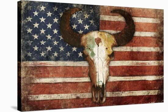 US Skull Flag-Jace Grey-Stretched Canvas