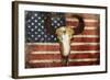 US Skull Flag-Jace Grey-Framed Art Print