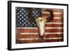 US Skull Flag-Jace Grey-Framed Art Print