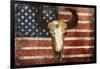 US Skull Flag-Jace Grey-Framed Art Print