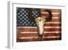 US Skull Flag-Jace Grey-Framed Art Print