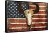 US Skull Flag-Jace Grey-Framed Stretched Canvas