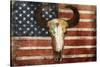 US Skull Flag-Jace Grey-Stretched Canvas