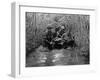 US Soldiers Carry a Wounded Comrade Through a Swampy Area in Vietnam, 1969-null-Framed Photo