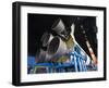 Us Space and Rocket Center, Saturn V Rocket, Huntsville, Alabama, USA-Walter Bibikow-Framed Photographic Print