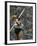 US Track Athlete William Schmidt Throwing Javelin at the Summer Olympics-John Dominis-Framed Premium Photographic Print