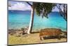 Us, Usvi, Snorkelers St John with St Thomas Beyond-Trish Drury-Mounted Photographic Print