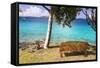 Us, Usvi, Snorkelers St John with St Thomas Beyond-Trish Drury-Framed Stretched Canvas