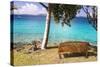 Us, Usvi, Snorkelers St John with St Thomas Beyond-Trish Drury-Stretched Canvas