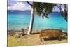 Us, Usvi, Snorkelers St John with St Thomas Beyond-Trish Drury-Stretched Canvas