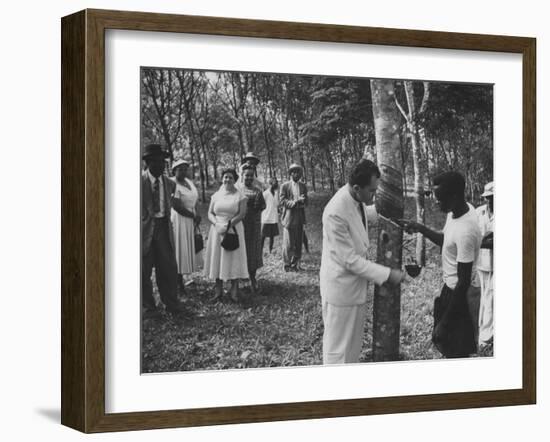 US Vice-President Richard M. Nixon Inspeacting the Firestone Rubber Plantation-null-Framed Photographic Print