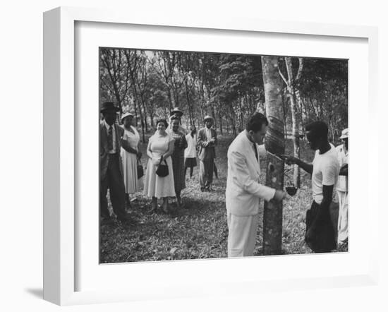 US Vice-President Richard M. Nixon Inspeacting the Firestone Rubber Plantation-null-Framed Photographic Print