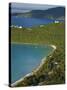 Us Virgin Islands, St, Thomas, Beach at Magens Bay, Caribbean-Gavin Hellier-Stretched Canvas