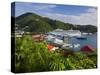 Us Virgin Islands, St, Thomas, Charlotte Amalie and Havensight Cruise Ship Dock, Caribbean-Gavin Hellier-Stretched Canvas