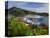 Us Virgin Islands, St, Thomas, Charlotte Amalie and Havensight Cruise Ship Dock, Caribbean-Gavin Hellier-Stretched Canvas