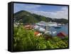 Us Virgin Islands, St, Thomas, Charlotte Amalie and Havensight Cruise Ship Dock, Caribbean-Gavin Hellier-Framed Stretched Canvas