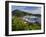 Us Virgin Islands, St, Thomas, Charlotte Amalie and Havensight Cruise Ship Dock, Caribbean-Gavin Hellier-Framed Premium Photographic Print