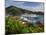 Us Virgin Islands, St, Thomas, Charlotte Amalie and Havensight Cruise Ship Dock, Caribbean-Gavin Hellier-Mounted Photographic Print