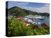 Us Virgin Islands, St, Thomas, Charlotte Amalie and Havensight Cruise Ship Dock, Caribbean-Gavin Hellier-Stretched Canvas