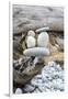 Us, Wa, Dungeness Spit. Rock Cairns on Driftwood-Trish Drury-Framed Photographic Print