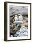 Us, Wa, Dungeness Spit. Rock Cairns on Driftwood-Trish Drury-Framed Photographic Print