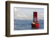 Us, Wa, Seattle. California Sea Lions Relax in Sun on Channel Marker Buoy-Trish Drury-Framed Photographic Print