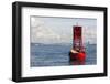 Us, Wa, Seattle. California Sea Lions Relax in Sun on Channel Marker Buoy-Trish Drury-Framed Photographic Print