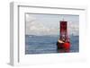 Us, Wa, Seattle. California Sea Lions Relax in Sun on Channel Marker Buoy-Trish Drury-Framed Photographic Print