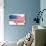 Usa 3D State Flag Map-chuckstock-Art Print displayed on a wall