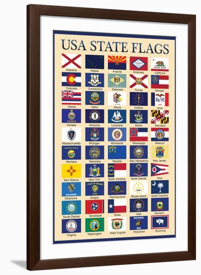 USA 50 State Flags Chart Education-null-Framed Art Print