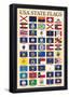 USA 50 State Flags Chart-null-Framed Poster