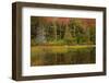 USA, Acadia National Park, Maine. Fall reflections at Bubble Pond.-Joanne Wells-Framed Photographic Print