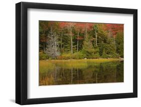 USA, Acadia National Park, Maine. Fall reflections at Bubble Pond.-Joanne Wells-Framed Photographic Print