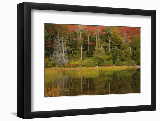 USA, Acadia National Park, Maine. Fall reflections at Bubble Pond.-Joanne Wells-Framed Photographic Print