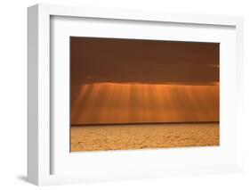 USA, Acadia National Park, Maine. Rays from morning sun along Ocean drive.-Joanne Wells-Framed Photographic Print