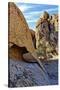 USA, Alabama Hills, California. Long Pine-Joe Restuccia III-Stretched Canvas